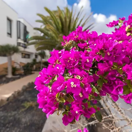 Casa Isa Amaya Appartement *