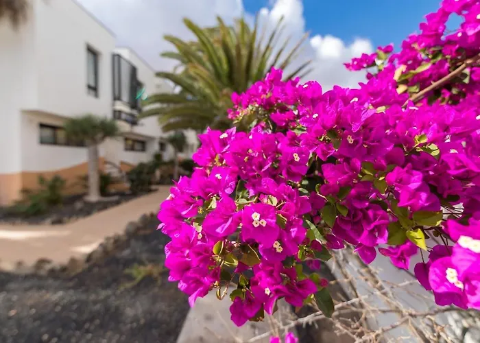 Casa Isa Amaya Apartmán *
